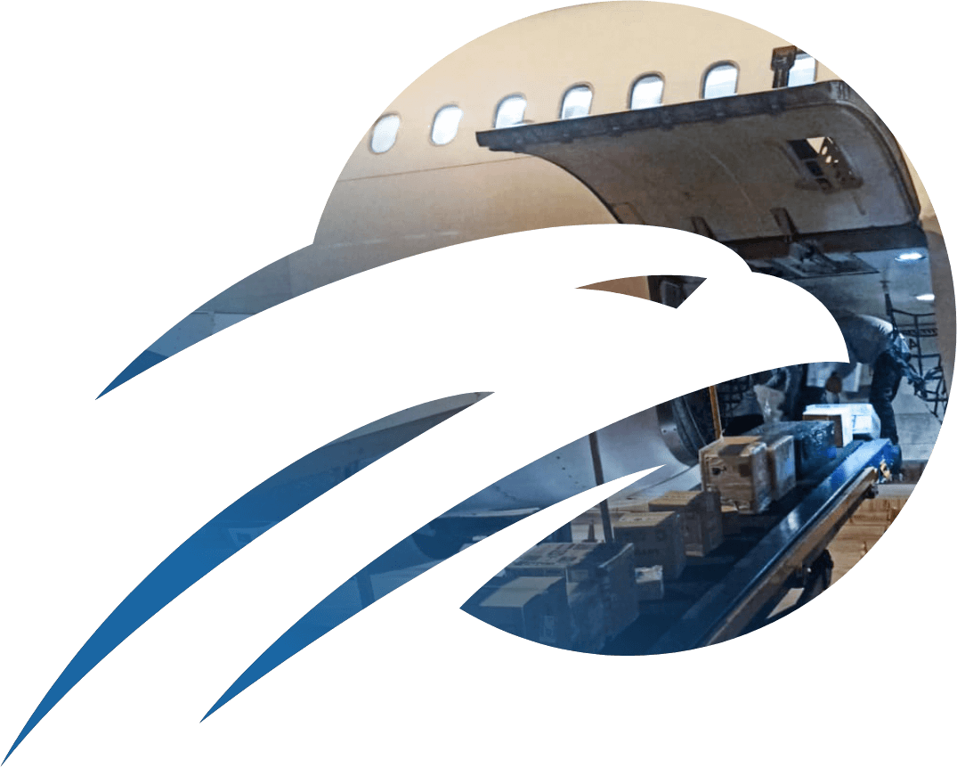 Transporte de carga con Multinacional Service CORP SAC